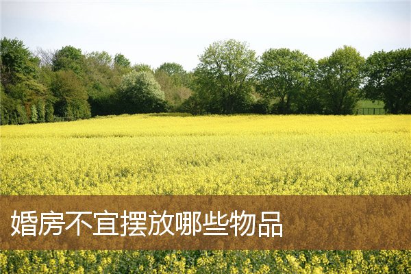婚房不宜摆放哪些物品 婚房不宜摆放哪些物品