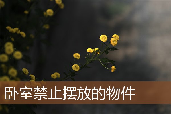 卧室禁止摆放的物件 卧室禁止摆放的物件
