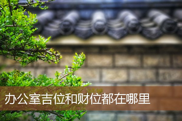 办公室吉位和财位都在哪里 办公室吉位和财位都在哪里