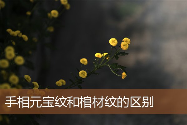 手相元宝纹和棺材纹的区别 手相元宝纹和棺材纹的区别
