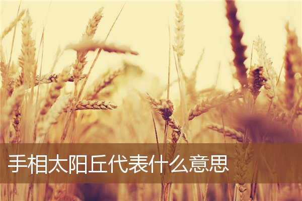 手相太阳丘代表什么意思 手相太阳丘代表什么意思