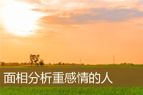 面相分析重感情的人 面相分析重感情的人