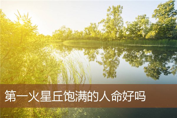 第一火星丘饱满的人命好吗 第一火星丘饱满的人命好吗