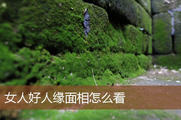 女人好人缘面相怎么看 女人好人缘面相怎么看