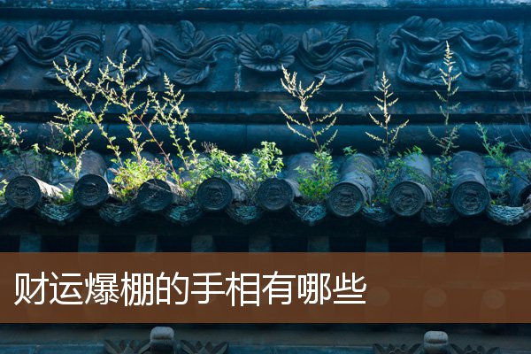 财运爆棚的手相有哪些 财运爆棚的手相有哪些