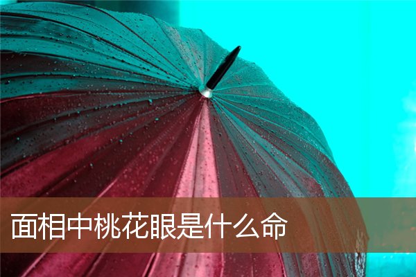 面相中桃花眼是什么命 面相中桃花眼是什么命