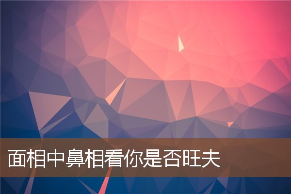 面相中鼻相看你是否旺夫 面相中鼻相看你是否旺夫