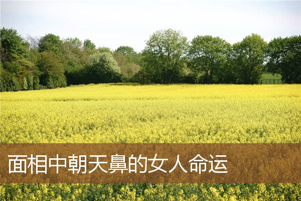 面相中朝天鼻的女人命运 面相中朝天鼻的女人命运