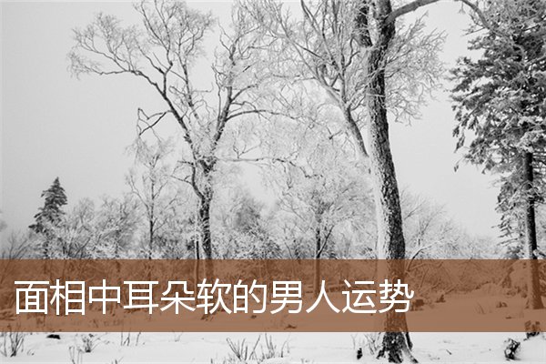 面相中耳朵软的男人运势 面相中耳朵软的男人运势
