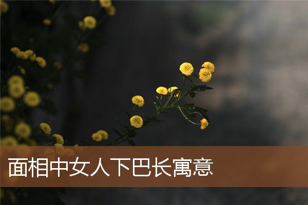 面相中女人下巴长寓意 面相中女人下巴长寓意