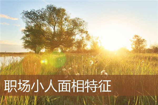 职场小人面相特征 职场小人面相特征
