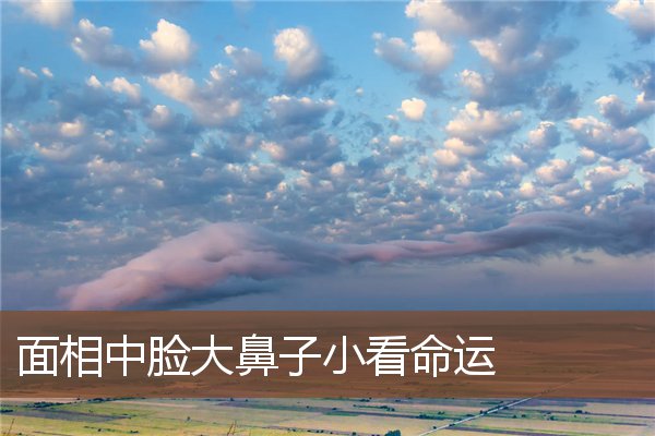 面相中脸大鼻子小看命运 面相中脸大鼻子小看命运