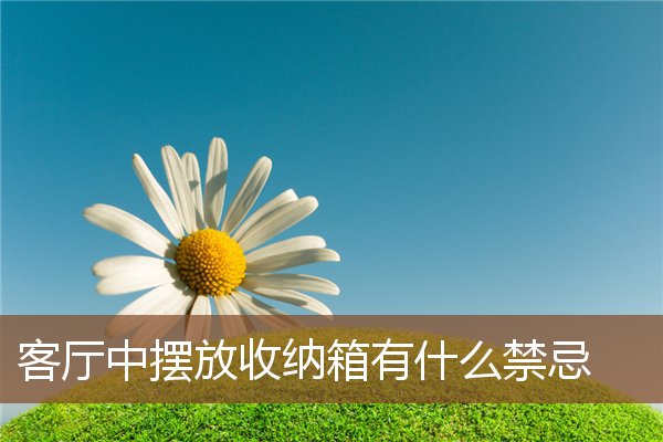 客厅中摆放收纳箱有什么禁忌 客厅中摆放收纳箱有什么禁忌