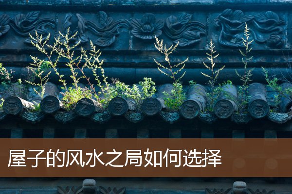 屋子的风水之局如何选择 屋子的风水之局如何选择