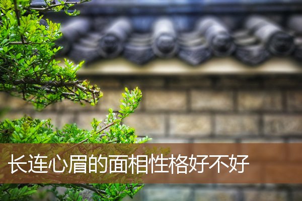 长连心眉的面相性格好不好 长连心眉的面相性格好不好