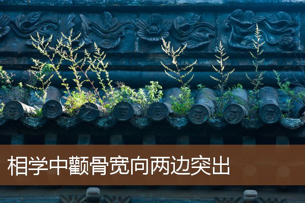 相学中颧骨宽向两边突出 相学中颧骨宽向两边突出