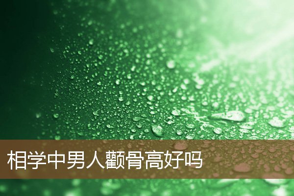 相学中男人颧骨高好吗 相学中男人颧骨高好吗