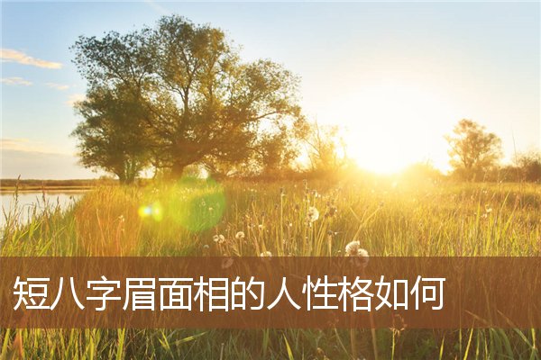 短八字眉面相的人性格如何 短八字眉面相的人性格如何
