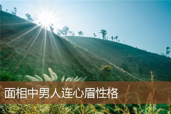 面相中男人连心眉性格 面相中男人连心眉性格