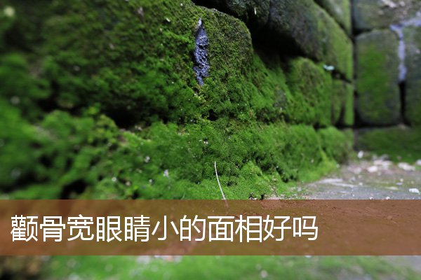 颧骨宽眼睛小的面相好吗 颧骨宽眼睛小的面相好吗