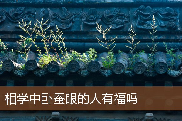 相学中卧蚕眼的人有福吗