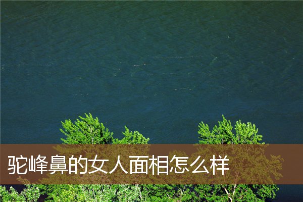 驼峰鼻的女人面相怎么样 驼峰鼻的女人面相怎么样