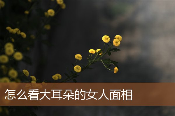 怎么看大耳朵的女人面相 怎么看大耳朵的女人面相