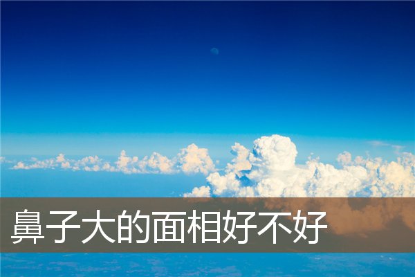 鼻子大的面相好不好