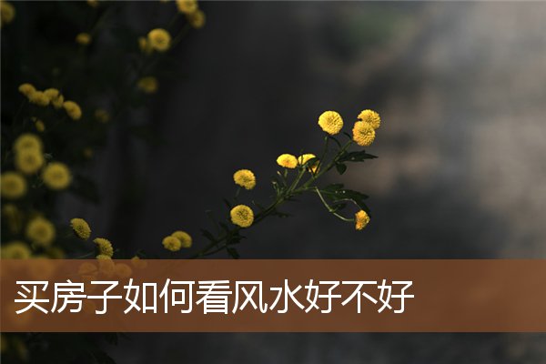 买房子如何看风水好不好 买房子如何看风水好不好
