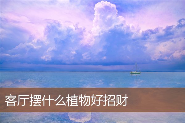 客厅摆什么植物好招财 客厅摆什么植物好招财