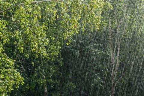 梦见发大水下大雨是什么预兆,梦见发大水下大雨是什么意思