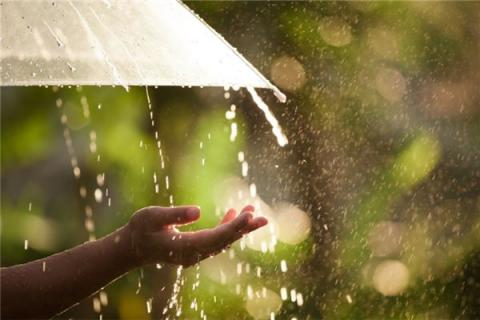 梦见下雨天捡钱是什么预兆,梦见下雨天捡钱是什么意思