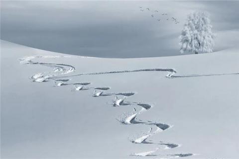 梦见白茫茫的雪是什么预兆,梦见白茫茫的雪是什么意思 梦见白茫茫的雪是什么预兆,梦见白茫茫的雪是什么意思
