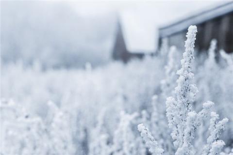 梦见冰雪是什么预兆,梦见冰雪是什么意思 梦见冰雪是什么预兆,梦见冰雪是什么意思