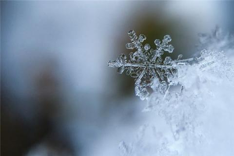 梦见露成霜雪是什么预兆,梦见露成霜雪是什么意思