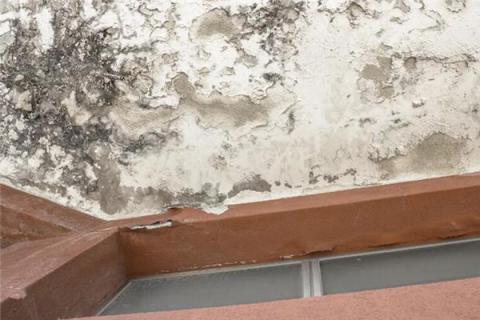 梦见房屋漏雨是什么预兆,梦见房屋漏雨是什么意思 梦见房屋漏雨是什么预兆,梦见房屋漏雨是什么意思