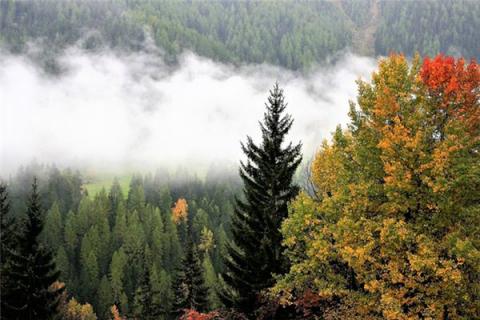 梦见山上下雨是什么预兆,梦见山上下雨是什么意思