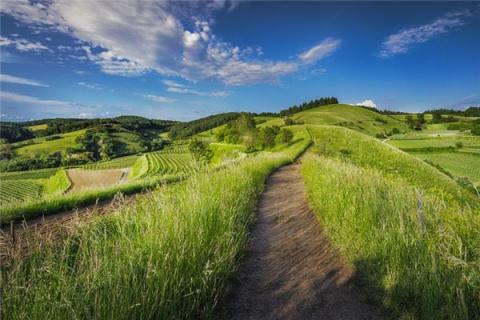 梦见草原是什么预兆,梦见草原是什么意思