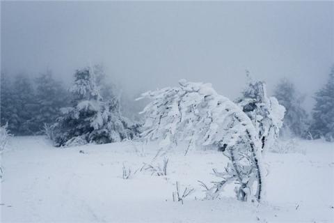 梦见暴风雪是什么预兆,梦见暴风雪是什么意思 梦见暴风雪是什么预兆,梦见暴风雪是什么意思