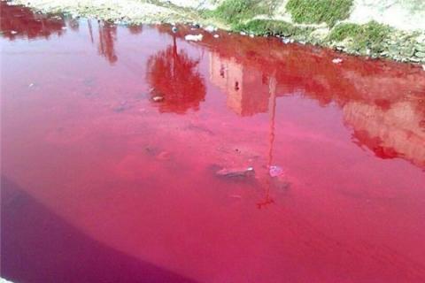 梦见血流成河是什么预兆,梦见血流成河是什么意思 梦见血流成河是什么预兆,梦见血流成河是什么意思