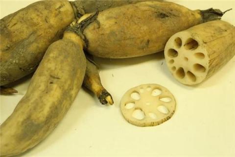 梦见挖藕是什么预兆,梦见挖藕是什么意思 梦见挖藕是什么预兆,梦见挖藕是什么意思
