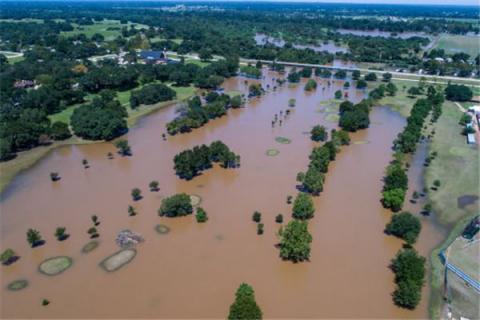 梦见白菜地遭水灾是什么预兆,梦见白菜地遭水灾是什么意思 梦见白菜地遭水灾是什么预兆,梦见白菜地遭水灾是什么意思