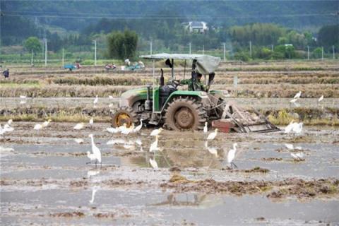 梦见农民耕种田地是什么预兆,梦见农民耕种田地是什么意思