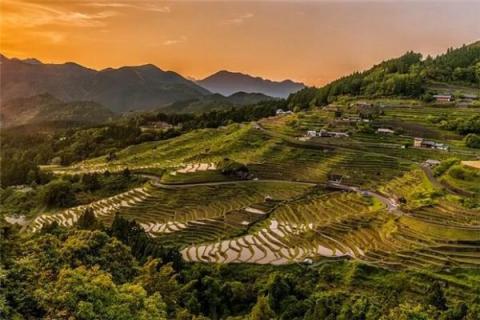 梦见未种庄稼的闲田地是什么预兆,梦见未种庄稼的闲田地是什么意思 梦见未种庄稼的闲田地是什么预兆,梦见未种庄稼的闲田地是什么意思