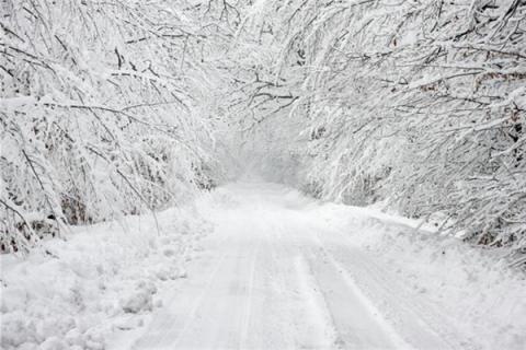 梦见山区下大雪是什么预兆,梦见山区下大雪是什么意思