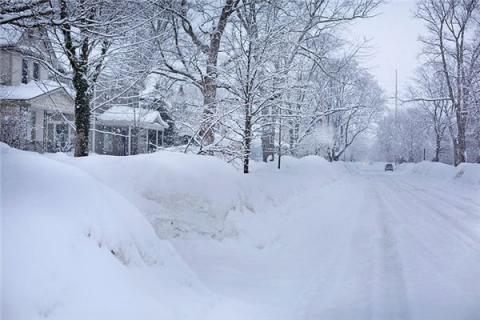 鹅毛大雪的意思图片