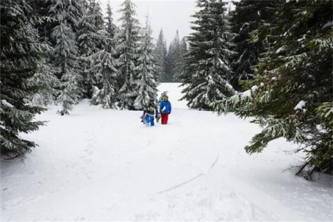 梦见下山坡是什么预兆,梦见下山坡是什么意思 梦见下山坡是什么预兆,梦见下山坡是什么意思