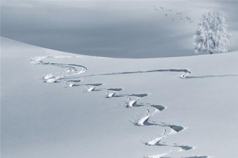 梦见地上有雪是什么预兆,梦见地上有雪是什么意思 梦见地上有雪是什么预兆,梦见地上有雪是什么意思