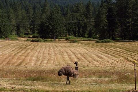 梦见地动山摇是什么预兆,梦见地动山摇是什么意思 梦见地动山摇是什么预兆,梦见地动山摇是什么意思