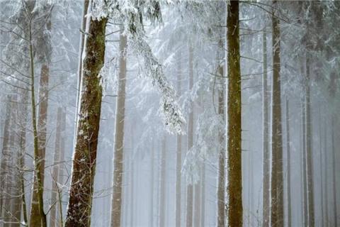 梦见下飘雪是什么预兆,梦见下飘雪是什么意思